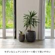特価◎【直送】住まいスタイル/「GRITTE」 グリッテ 石調FRPプランター 幅30 (ドロップ型) アンティークホワイト