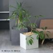 特価◎【直送】住まいスタイル/人工木ウッドデッキecofeel4台 ステップ・フェンスセット ライトブラウン