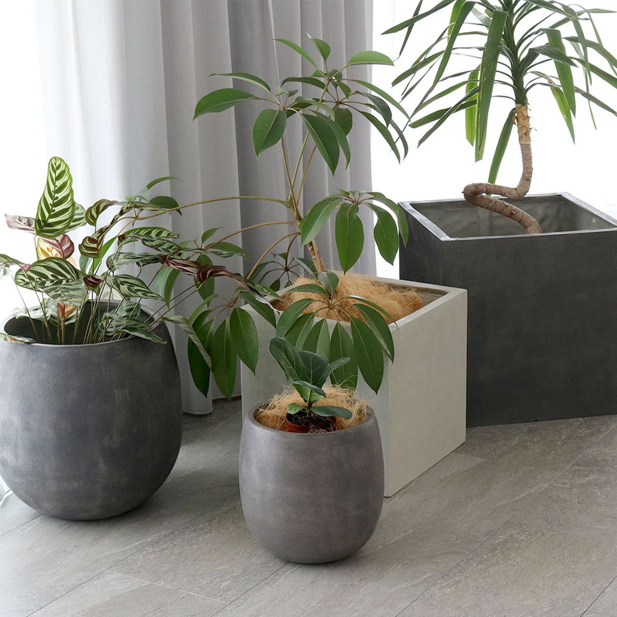特価◎【直送】住まいスタイル/人工木ウッドデッキecofeel4台 ステップ・フェンスセット ライトブラウン