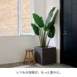 特価◎【直送】住まいスタイル/「GRITTE」 グリッテ 石調FRPプランター 幅50 (角型) アンティークホワイト