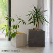 特価◎【直送】住まいスタイル/「GRITTE」 グリッテ 石調FRPプランター 幅50 (角型) アンティークホワイト