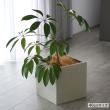 特価◎【直送】住まいスタイル/「GRITTE」 グリッテ 石調FRPプランター 幅40・50 (角型) 大小2個セット アンティークホワイト