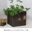 特価◎【直送】住まいスタイル/「FARBOR」 ファーバー 木調FRPプランター 幅40・50 (角型) 大小2個セット ダークブラウン