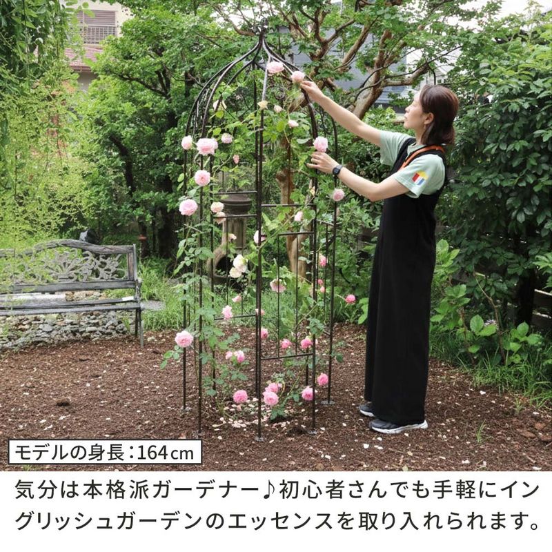 【直送】住まいスタイル/アイアンハーフアーチ(オベリスクキット) ダークブロンズ/IF-N0035BRZ ※返品・代引・キャンセル不可