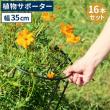 特価◎【直送】住まいスタイル/植物サポーター 幅35 16本セット ブラック/IF-N0048-16P