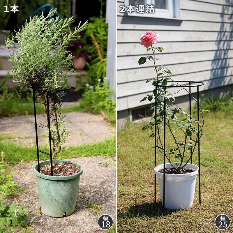 【直送】住まいスタイル/植物サポーター 延長脚 8本セット ブラック/IF-N0051-8P