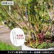 特価◎【直送】住まいスタイル/植物サポーター 延長脚 16本セット ブラック/IF-N0051-16P