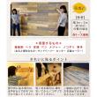 【直送】住まいスタイル/SOLIDECO -PRO- 壁に貼れる天然木パネル 44枚組(約6.64m2) ブルックリン
