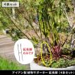 【直送】住まいスタイル/アイアン製植物サポーター延長脚 4本セット ブラック/IF-N0051-4P
