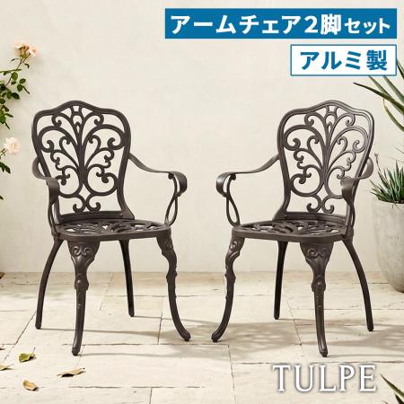 【直送】住まいスタイル/アルミ製アームチェア 2脚セット 「トルペ」 マットブラウン/BKS-C5289-2P-DBR