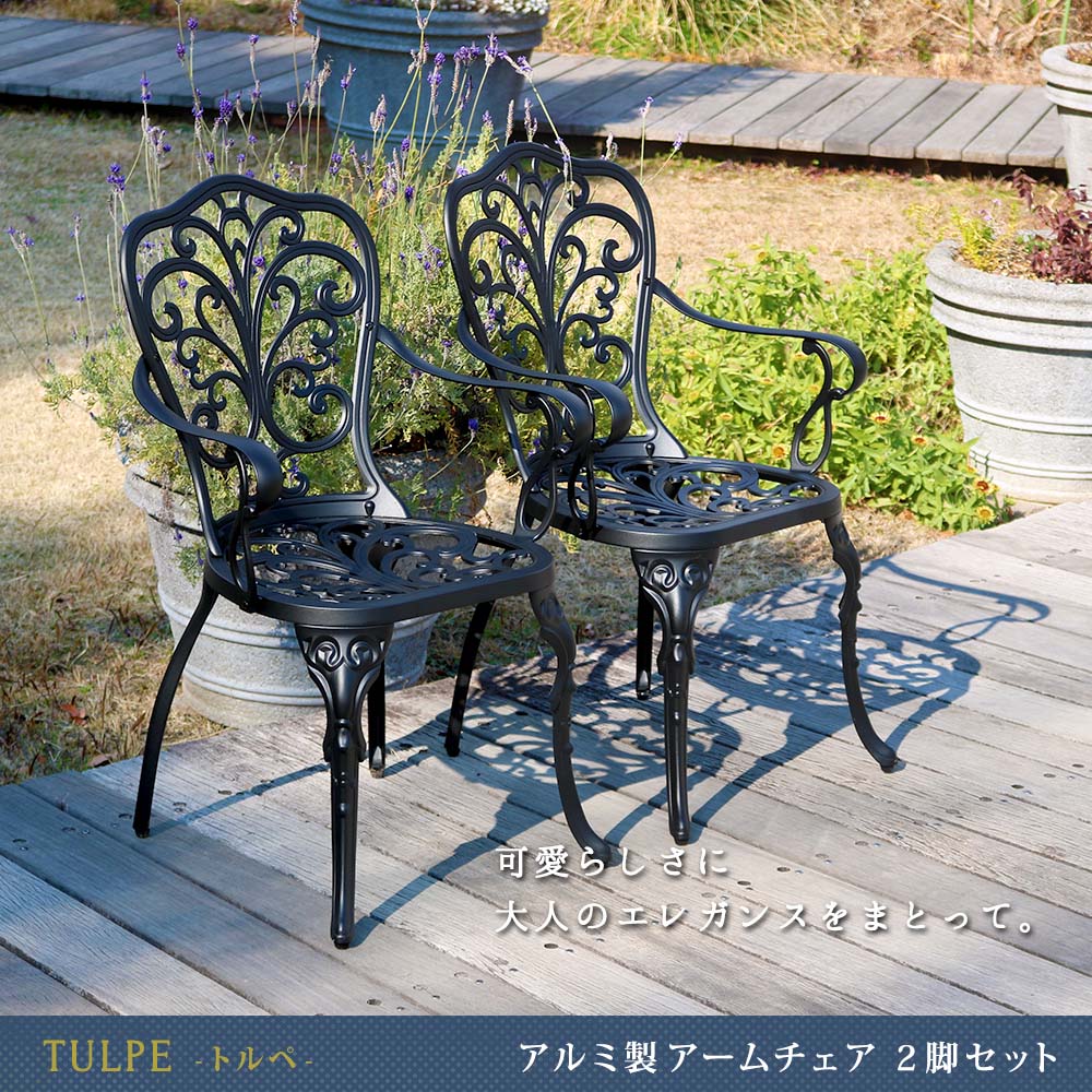 【直送】住まいスタイル/アルミ製アームチェア 2脚セット 「トルペ」 マットブラウン/BKS-C5289-2P-DBR