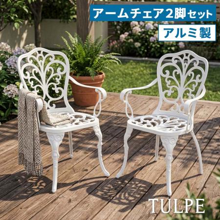 【直送】住まいスタイル/アルミ製アームチェア 2脚セット 「トルペ」 マットホワイト/BKS-C5289-2P-WHT