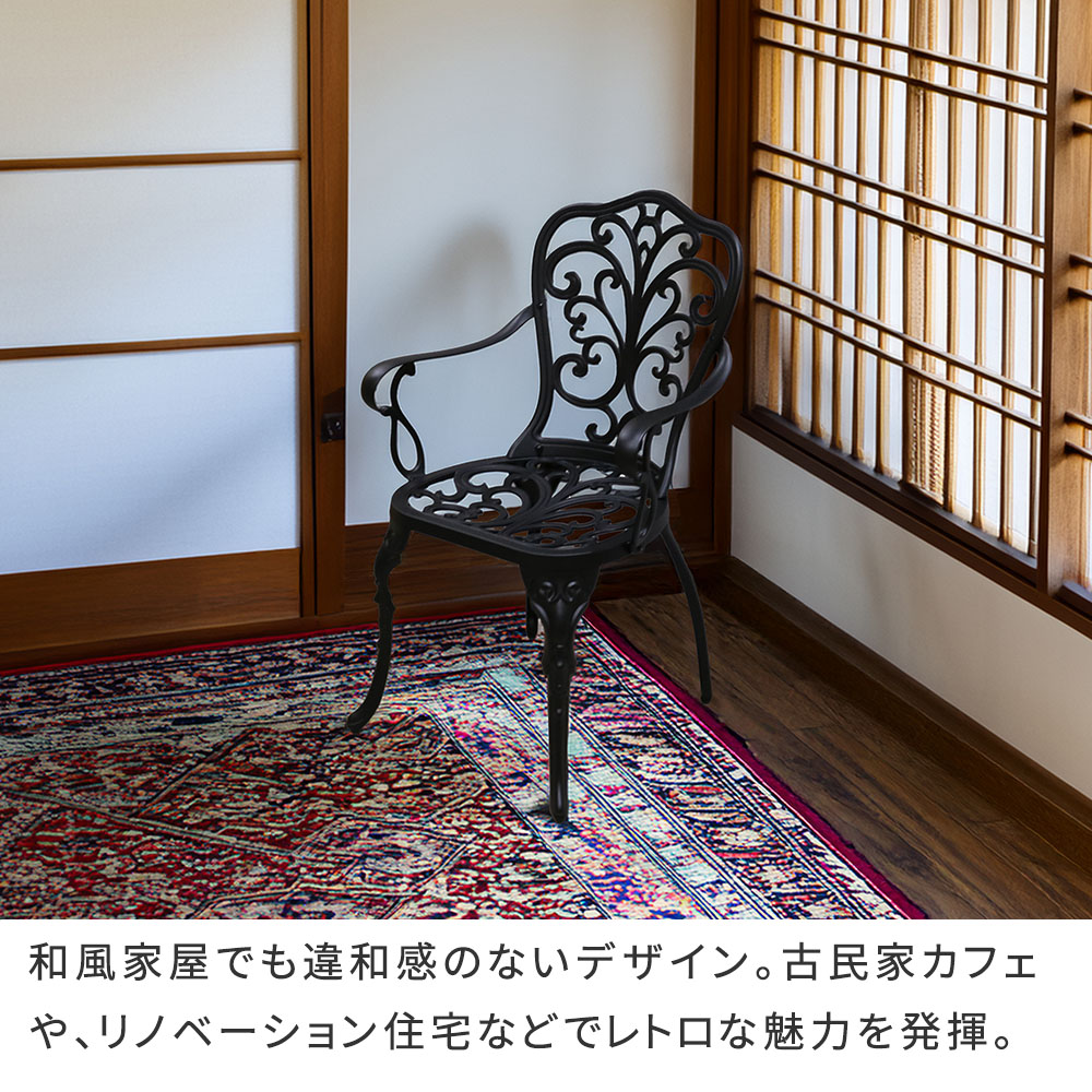 【直送】住まいスタイル/アルミ製アームチェア 2脚セット 「トルペ」 マットホワイト/BKS-C5289-2P-WHT