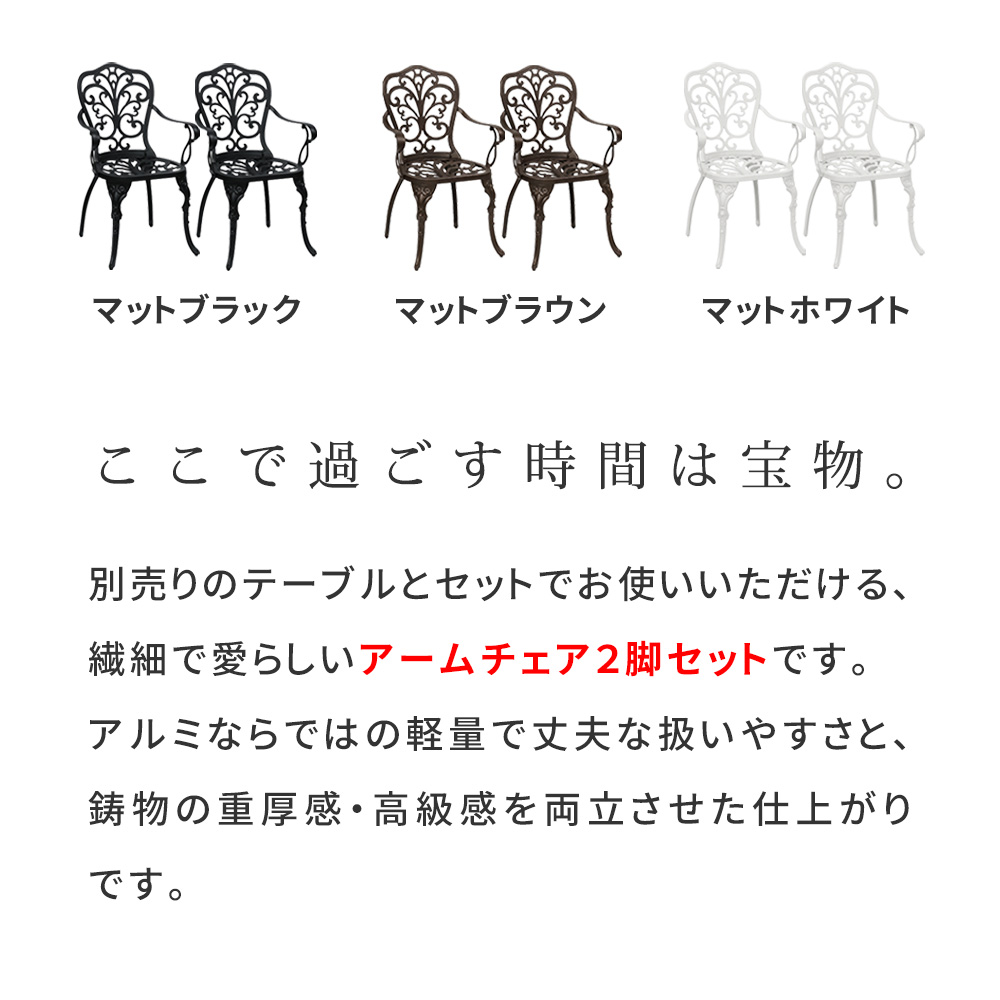 【直送】住まいスタイル/アルミ製アームチェア 2脚セット 「トルペ」 マットホワイト/BKS-C5289-2P-WHT