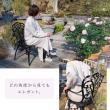 【直送】住まいスタイル/アルミ製アームチェア 2脚セット 「トルペ」 マットホワイト/BKS-C5289-2P-WHT