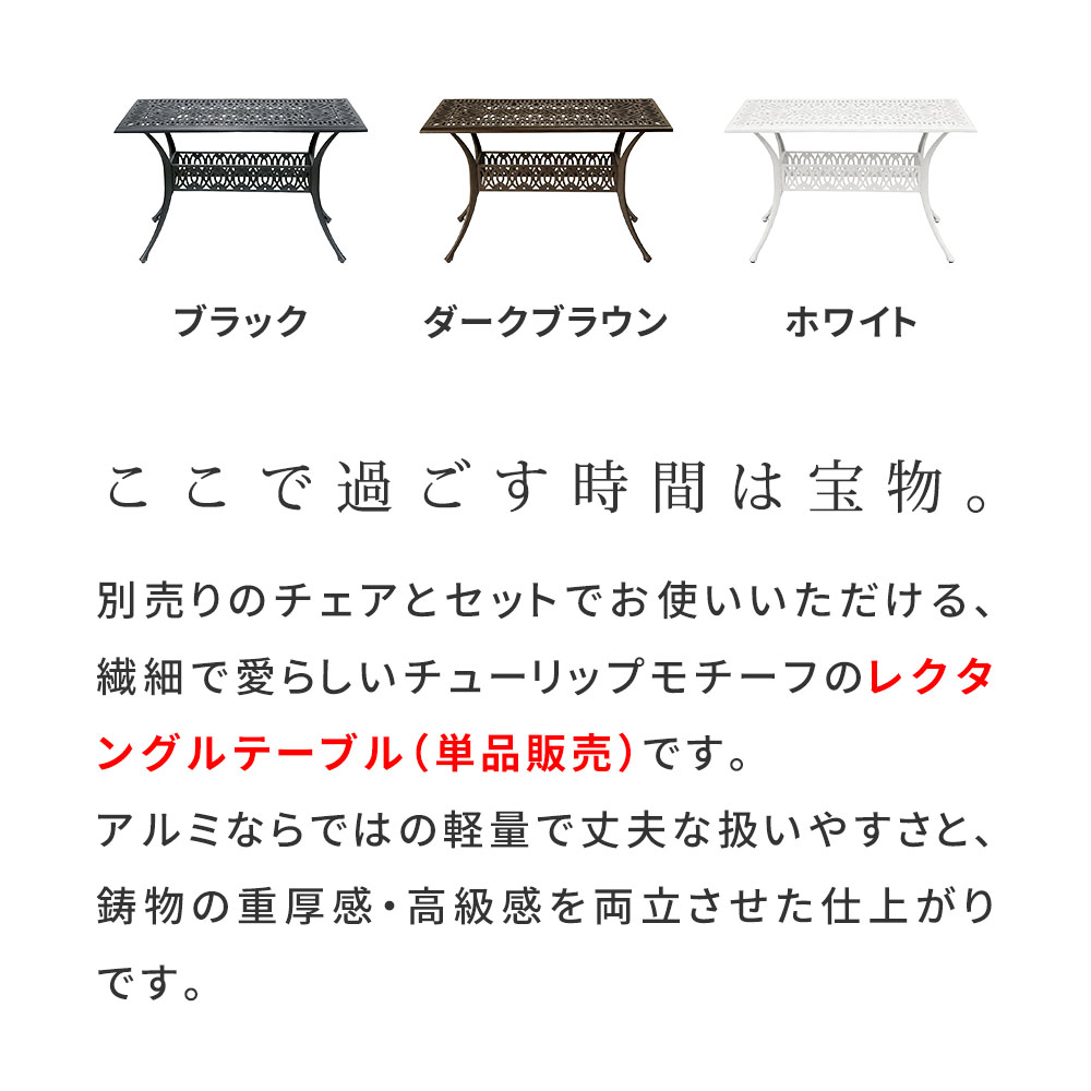 特価◎【直送】住まいスタイル/アルミ製レクタングルテーブル 単品販売 「トルペ」 マットブラウン/BKS-RG124DBR