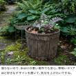 【直送】住まいスタイル/FRP製バレル型プランター小 2個組(直径24cm) ダークブラウン/EBP-24-2P-DBR