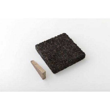 居間ノ庭/フェゴ着生ボード100 10×10cm