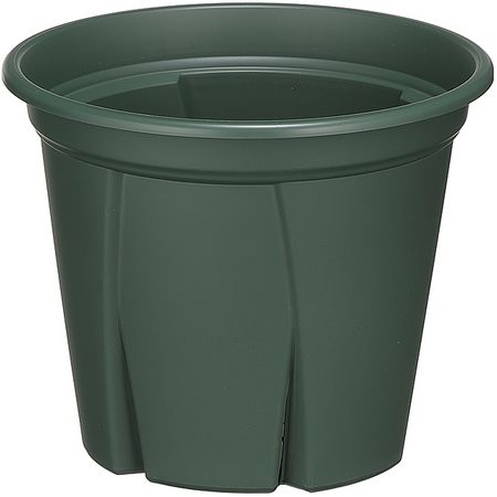 特価◎アップルウェアー/根っこつよし 7号 グリーン