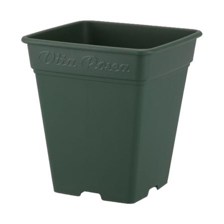 特価◎アップルウェアー/ロゼアスクエア260型 グリーン