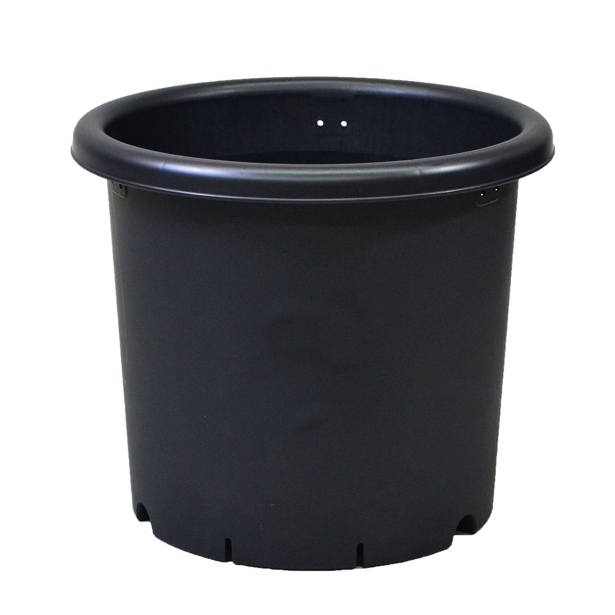 特価◎アップルウェアー/菊鉢5号 ブラック