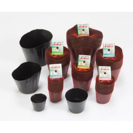 マツモト(クラーク)/クラーク ポリポット  25入 6cm