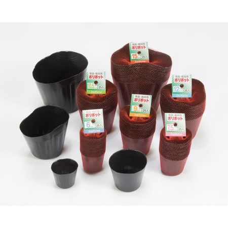 マツモト(クラーク)/クラーク ポリポット 7.5cm