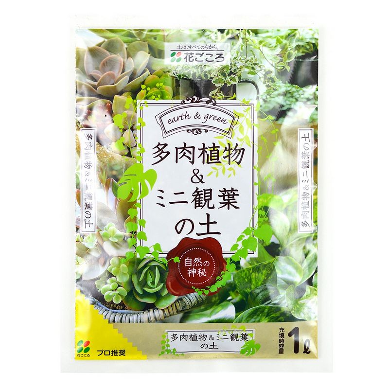 特価◎花ごころ/多肉植物&ミニ観葉の土 1L