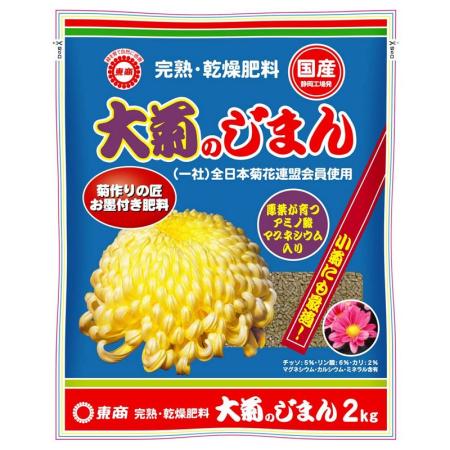 特価◎東商/大菊のじまん 2kg