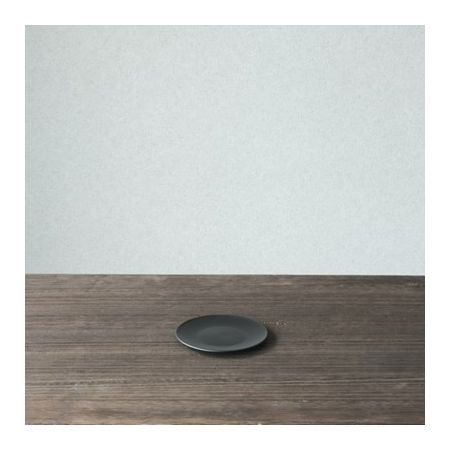 ventes/【Maceta】PlasticPlate 100