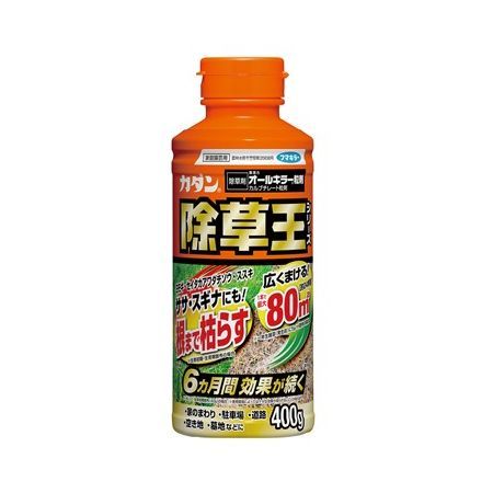 特価◎カダン/カダン除草王オールキラー粒剤 400g