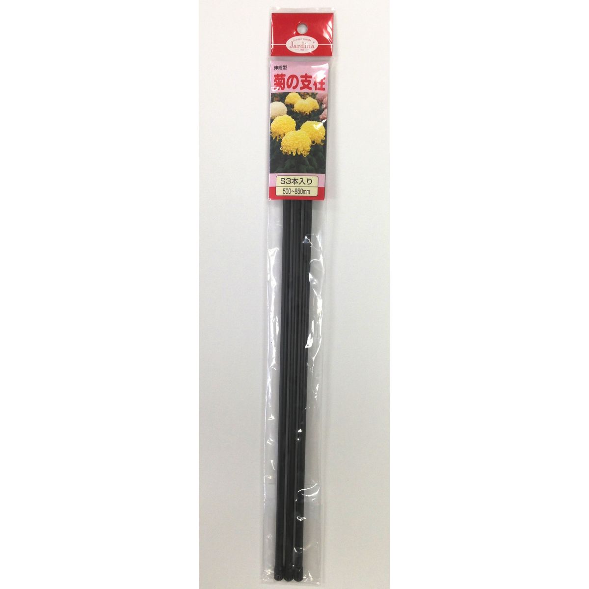 渡辺泰/菊の支柱S