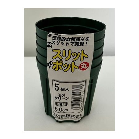 渡辺泰/スリットポット5個入 丸 6.0cm モスグリーン