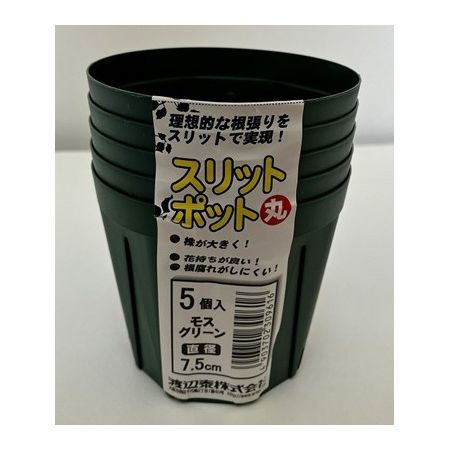 渡辺泰/スリットポット5個入 丸 7.5cm モスグリーン