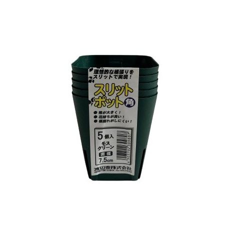 渡辺泰/スリットポット5個入 角 7.5cm モスグリーン