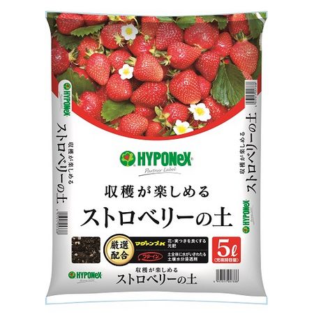 特価◎ハイポネックス/ハイポネックス 専用培養土 ストロベリーの土 5L
