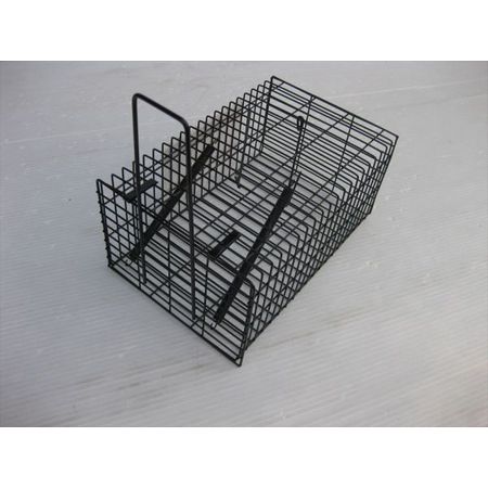 コンパル/ブラック角型ハウス