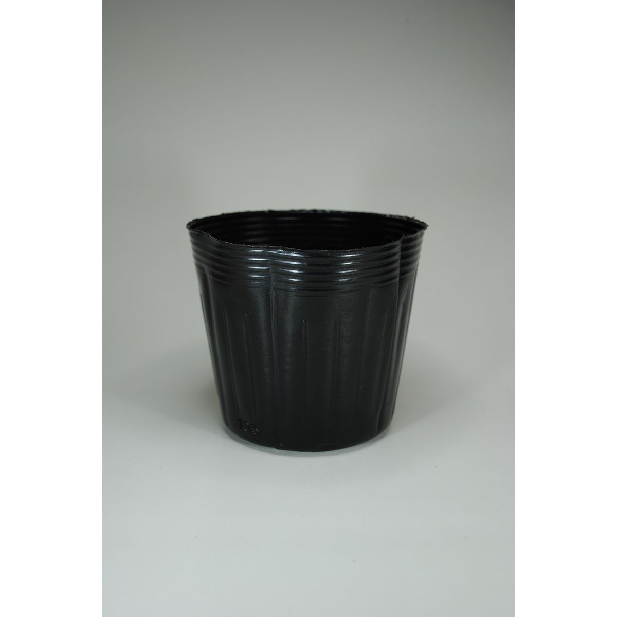 石本マオラン/ポリポット13.5cm黒 100P