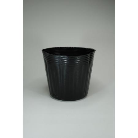 石本マオラン/ポリポット13.5cm黒 100P