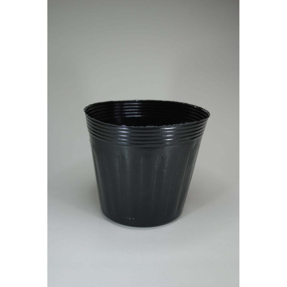 石本マオラン/ポリポット15cm黒 100P