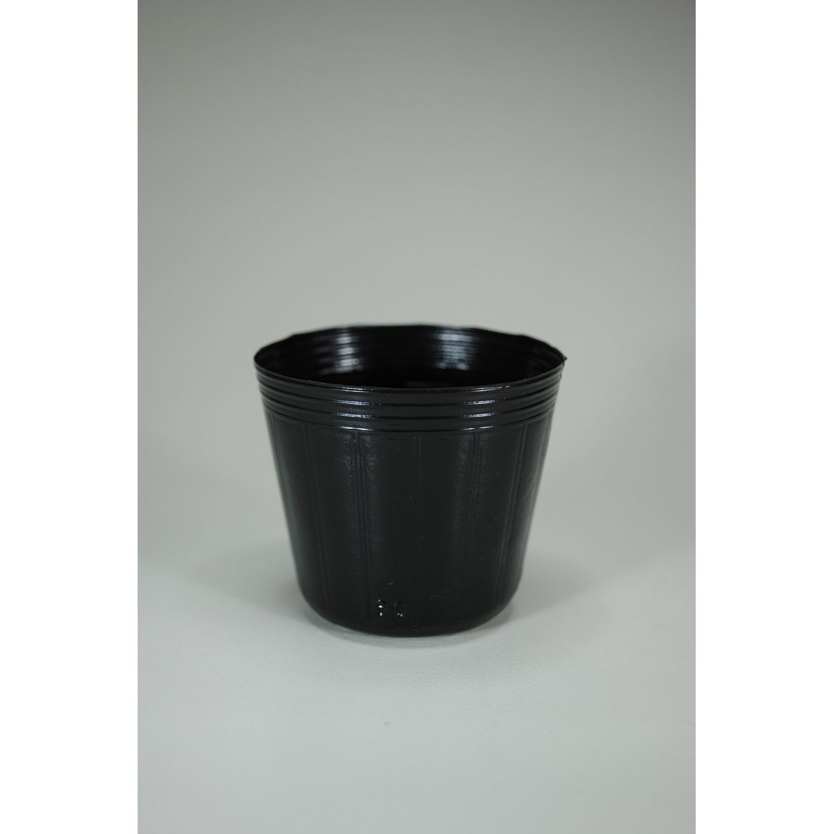 石本マオラン/ポリポット6cm黒 100P
