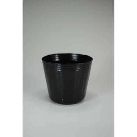 石本マオラン/ポリポット6cm黒 100P