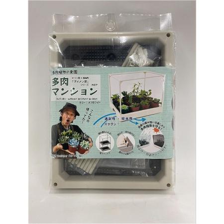 DAIM/多肉マンション オフホワイト