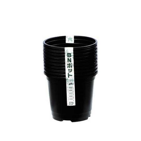 明和/BNポット100 10P 黒