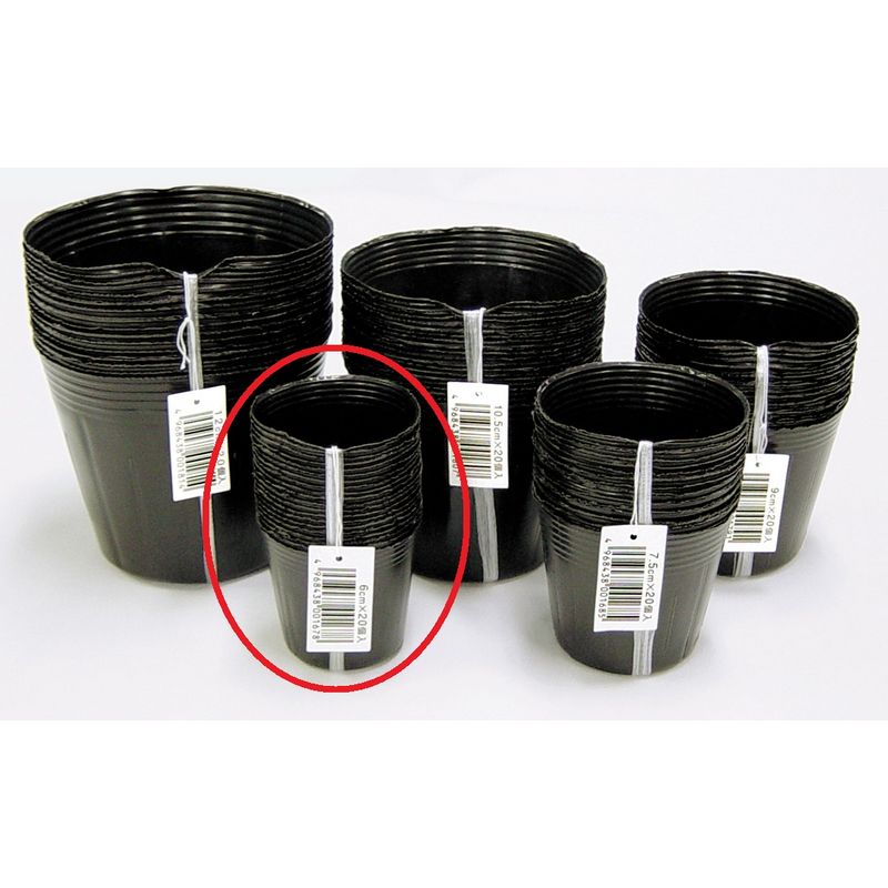 DAIM/ポリポット[黒] 20個入 6.0cm