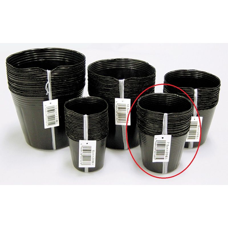 DAIM/ポリポット[黒] 20個入 7.5cm