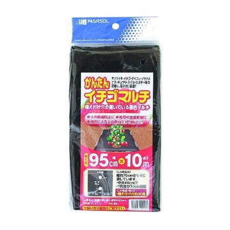 日本マタイ/かんたんイチゴマルチ(一列穴あき 95cm×10m