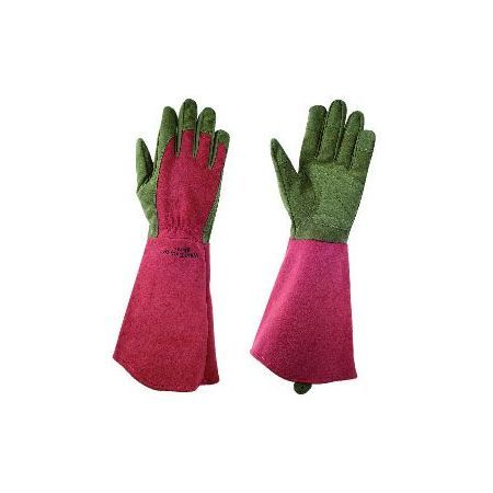 東和コーポレーション/ウエストカウンティーローズ ルビー S