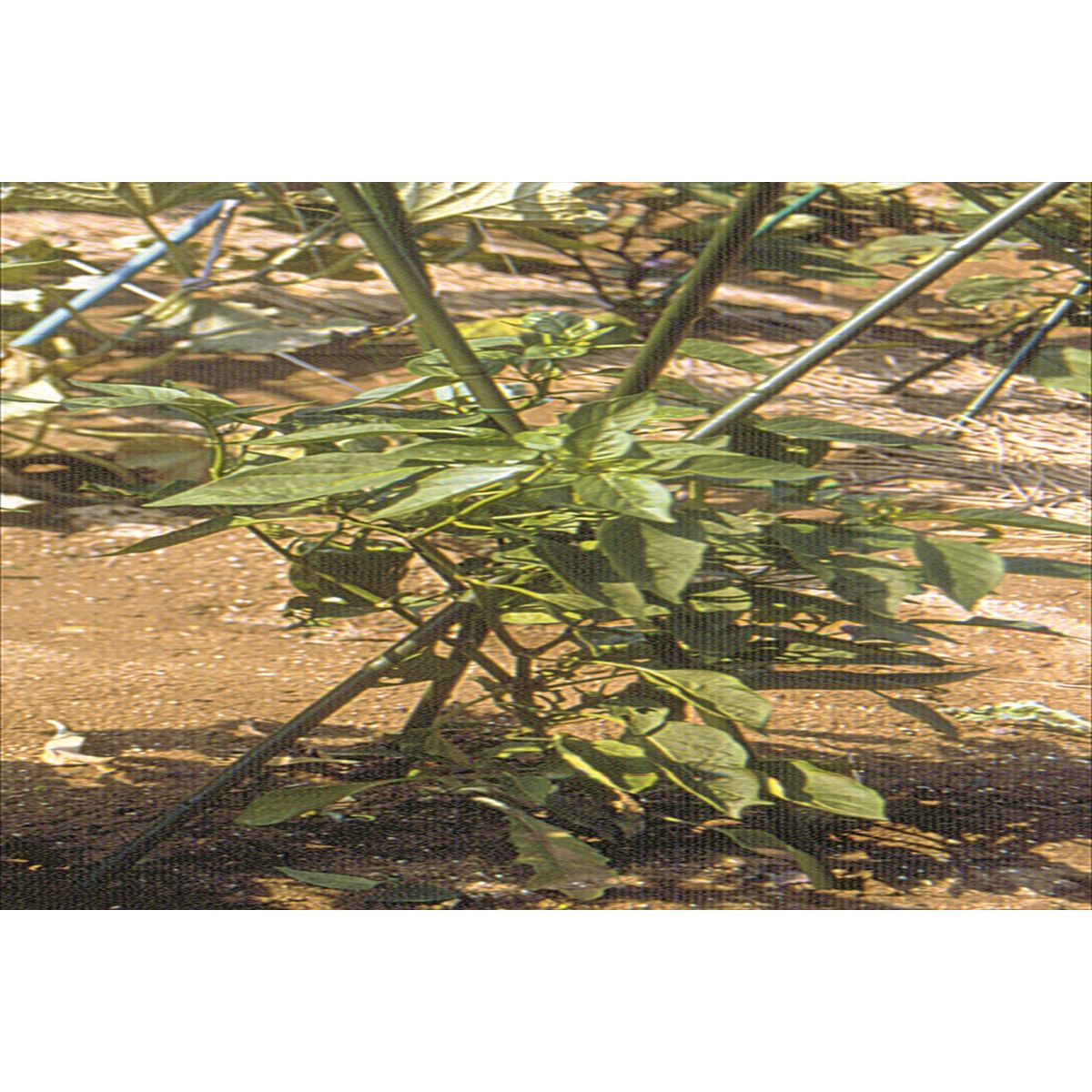 DAIM/三脚支柱  7mmxL90cm