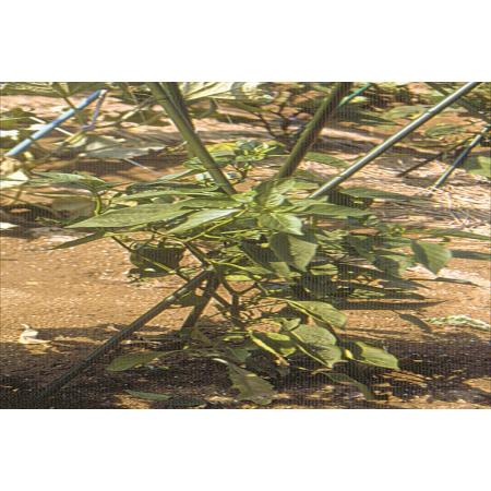 DAIM/三脚支柱  7mmxL90cm